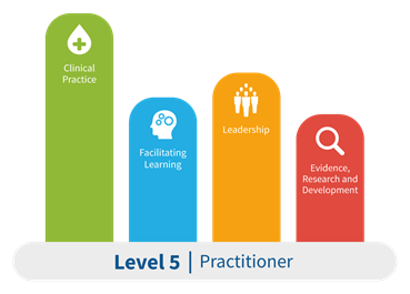 pillars of practice - level 5